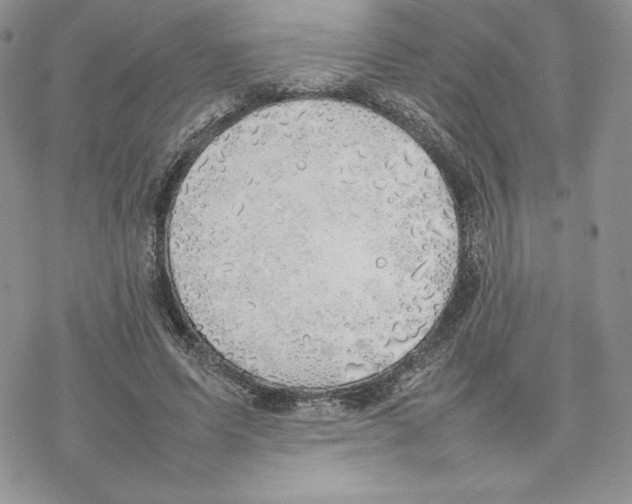 X0000077280591200611171604