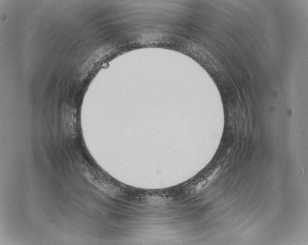 X0000077280592200611171604