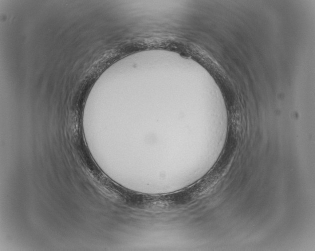 X0000077280593200611171604