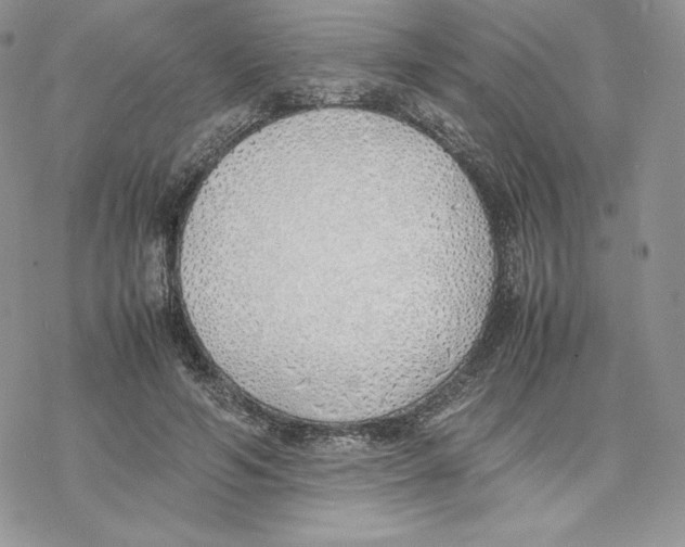 X0000077280594200611171604