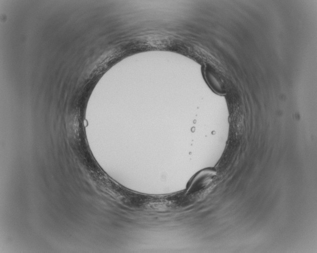 X0000077280595200611171604