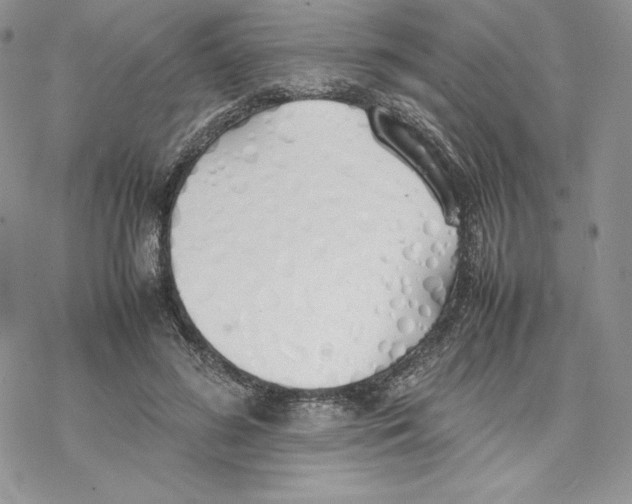 X0000077280596200611171604