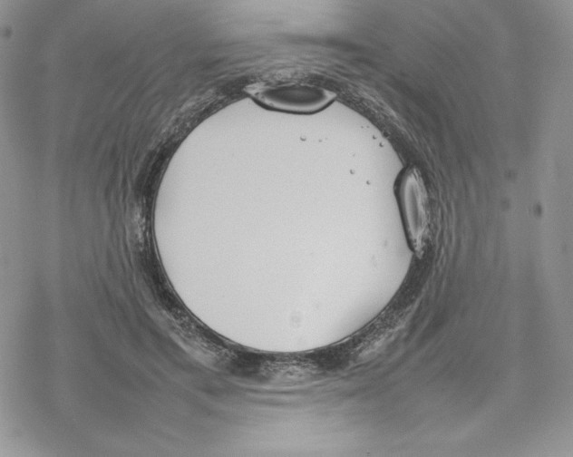 X0000077280597200611171604