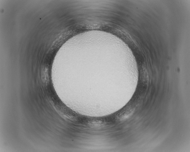 X0000077280598200611171604