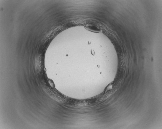 X0000077280600200611171604