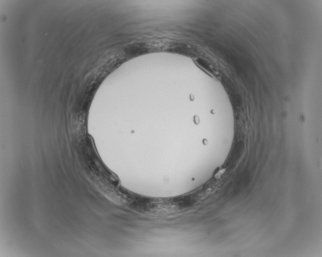 X0000077280601200611171604