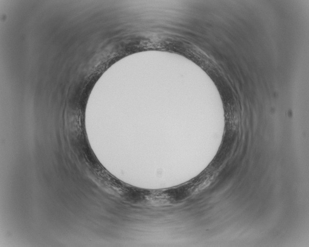 X0000077280603200611171604