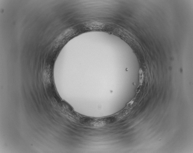 X0000077280604200611171604