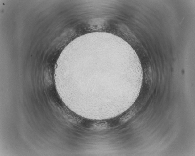 X0000077280606200611171604