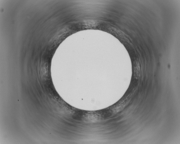 X0000077280608200611171604