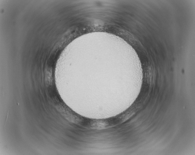 X0000077280610200611171604