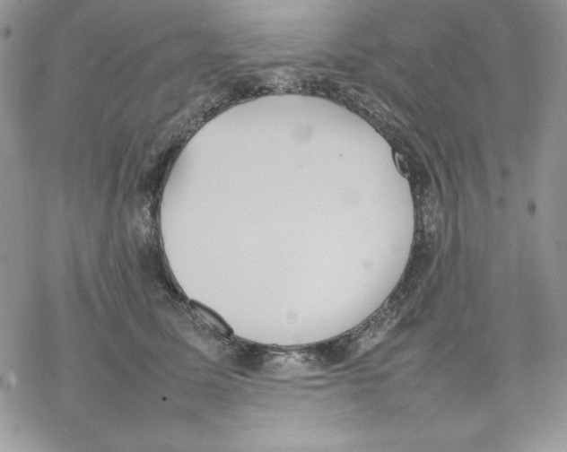 X0000077280611200611171604