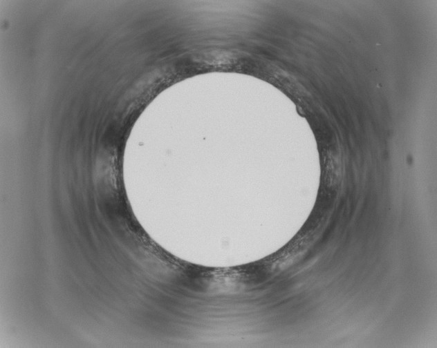 X0000077280612200611171604