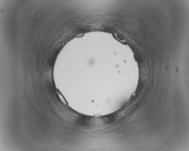 X0000077280613200611171604