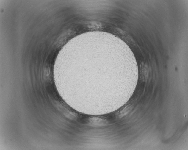 X0000077280614200611171604