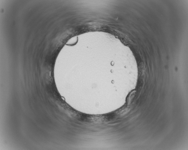 X0000077280615200611171604