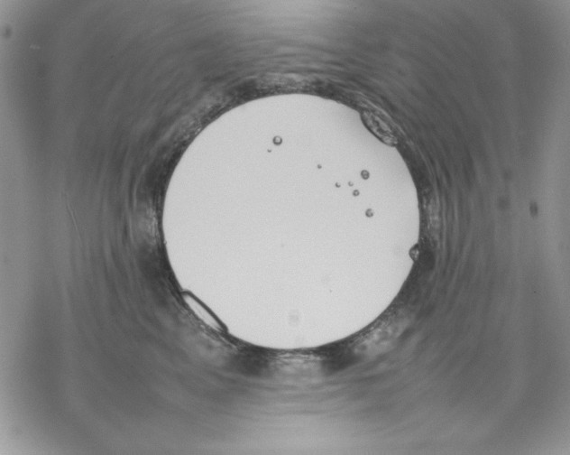 X0000077280617200611171604