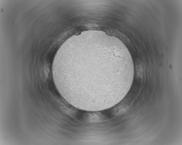 X0000077280618200611171604