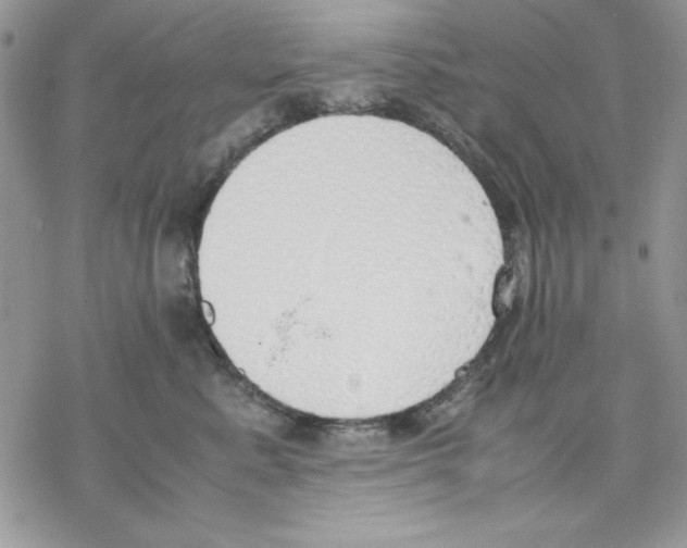 X0000077280619200611171604