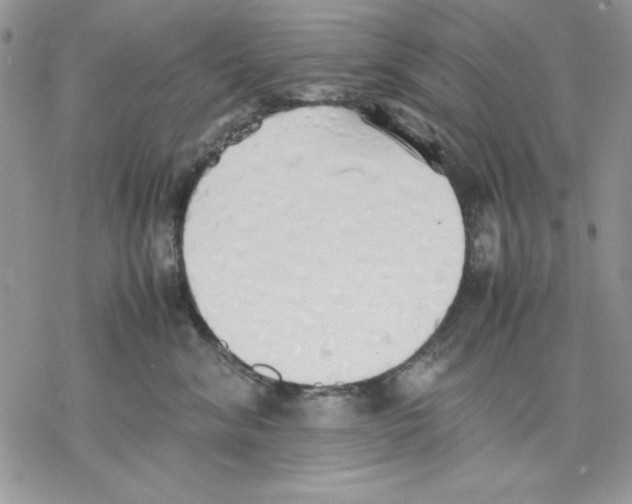 X0000077280620200611171604