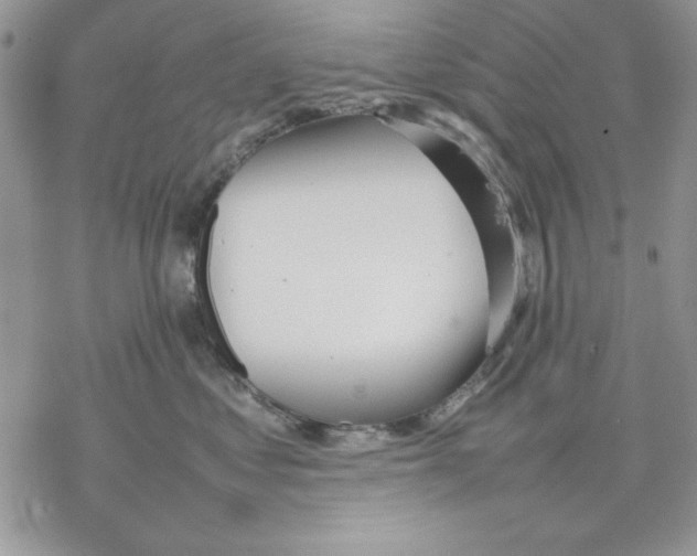 X0000077280621200611171604