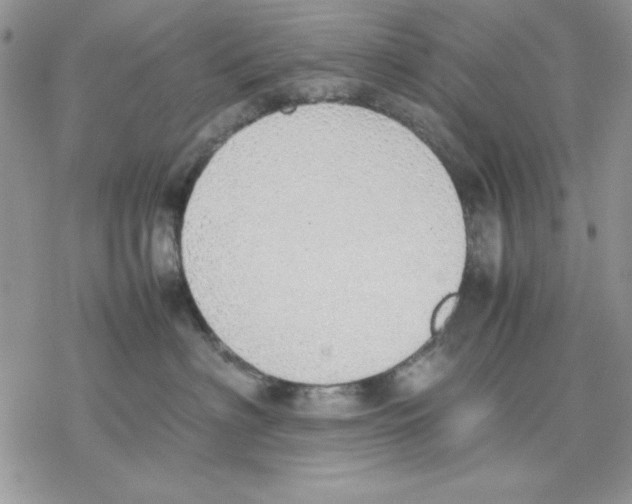 X0000077280622200611171604