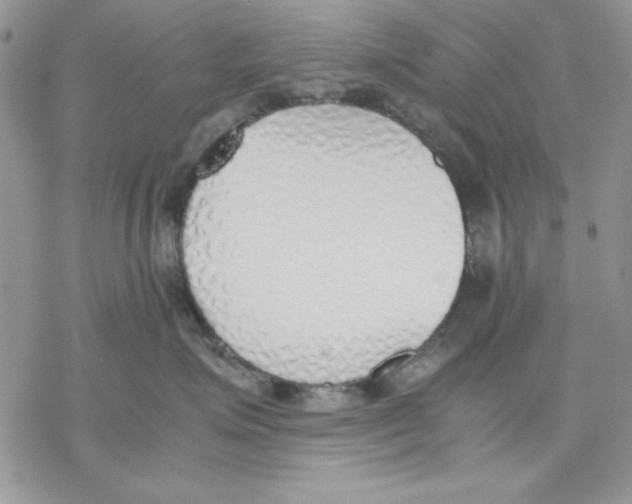 X0000077280623200611171604