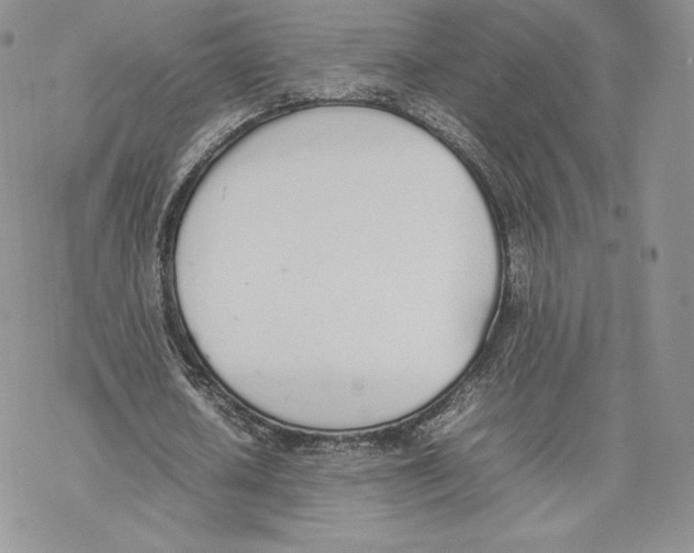 X0000077280626200611171603