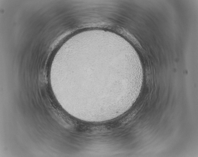 X0000077280628200611171603