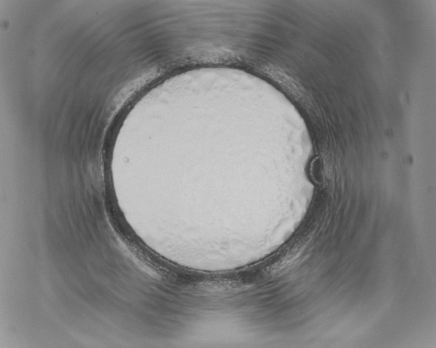 X0000077280630200611171603