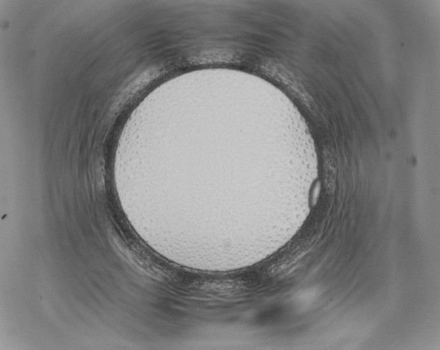 X0000077280631200611171603