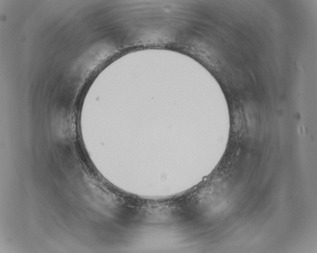 X0000077280632200611171603