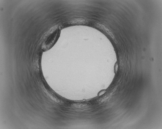 X0000077280633200611171603