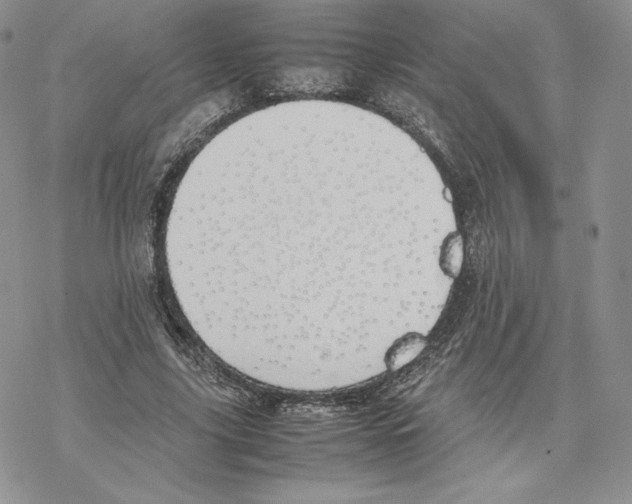 X0000077280635200611171603