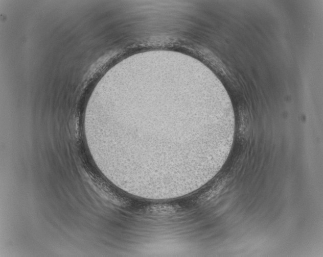 X0000077280636200611171603