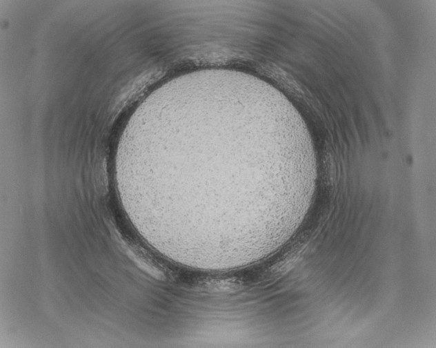 X0000077280638200611171603