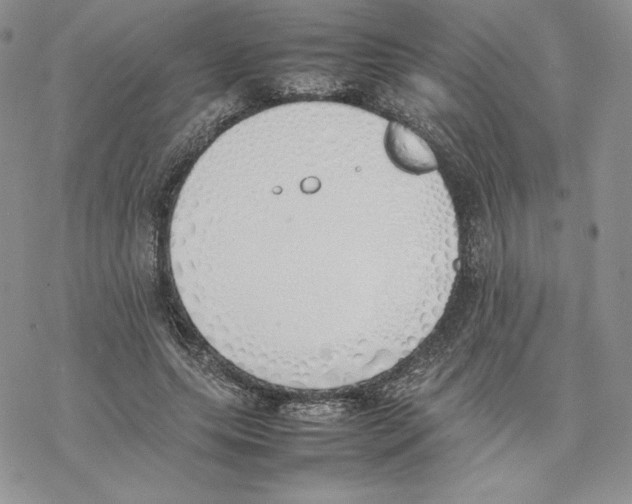 X0000077280639200611171603