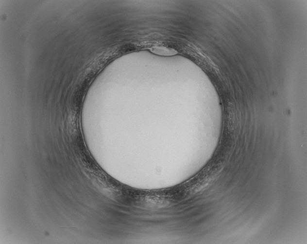 X0000077280641200611171603