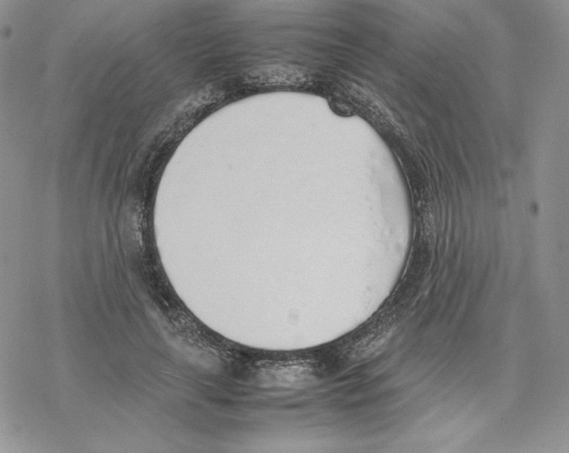 X0000077280643200611171603