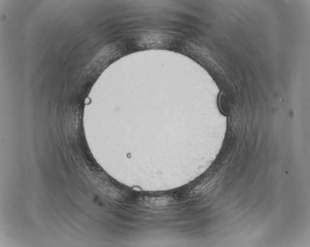 X0000077280645200611171603