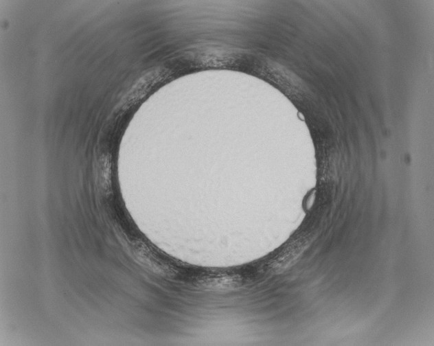 X0000077280646200611171603