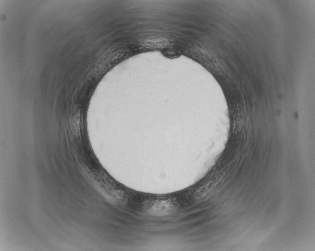 X0000077280647200611171603