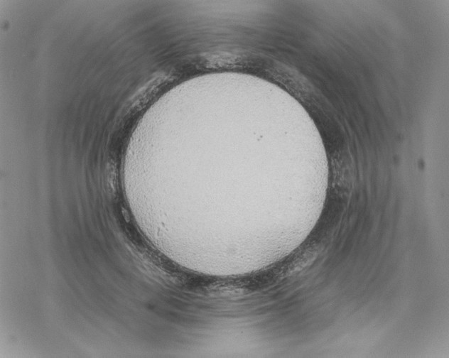 X0000077280648200611171603