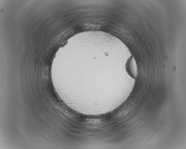 X0000077280649200611171603