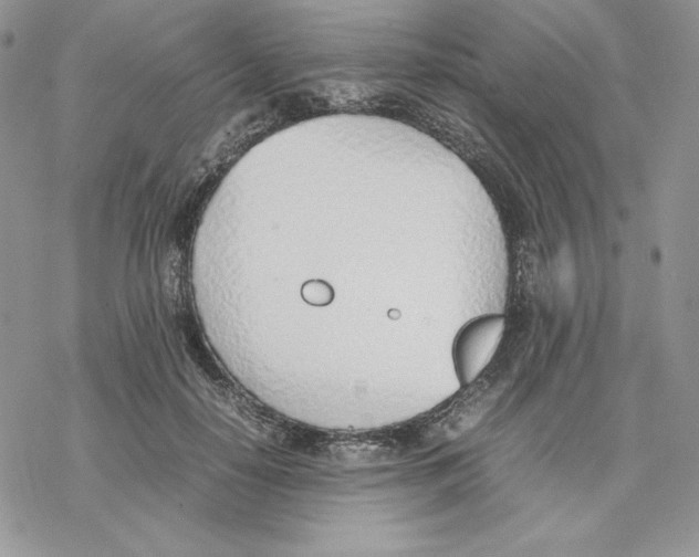 X0000077280650200611171603