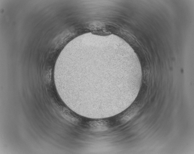 X0000077280652200611171603