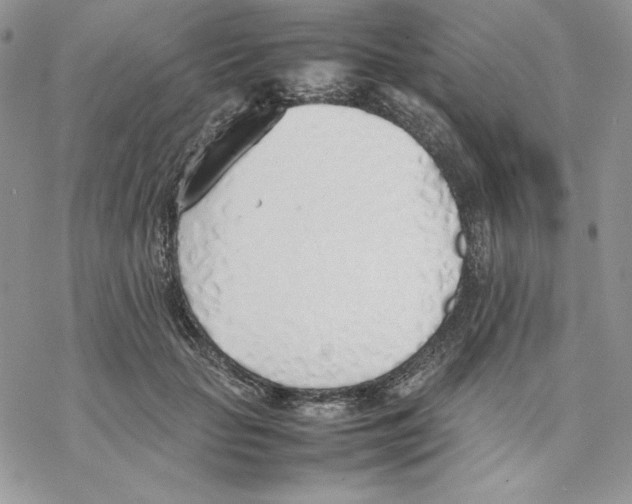 X0000077280653200611171603