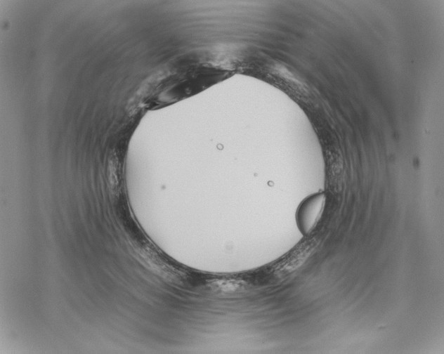 X0000077280654200611171603