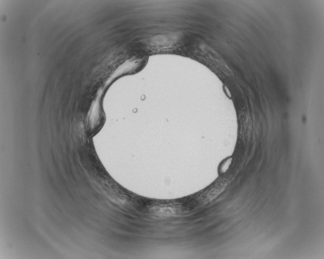 X0000077280655200611171603