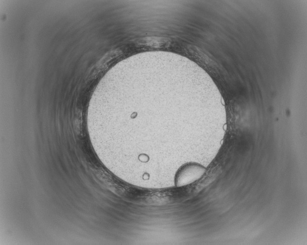 X0000077280656200611171603